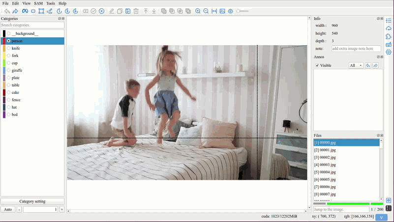video_annotation.gif